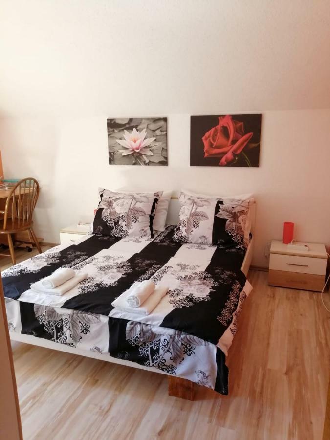 Apartman Franjicic Korenica Exterior photo